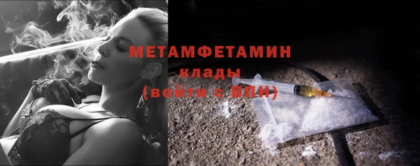 прущие грибы Наволоки