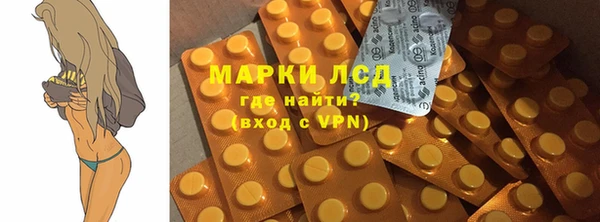 прущие грибы Наволоки