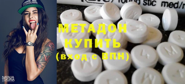 прущие грибы Наволоки