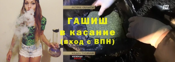 прущие грибы Наволоки