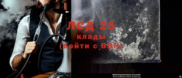 прущие грибы Наволоки