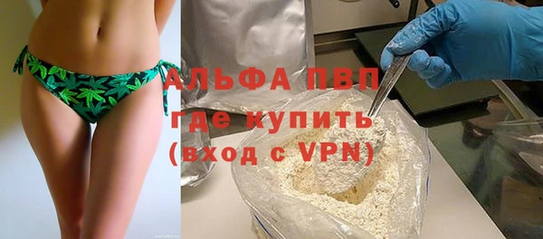 прущие грибы Наволоки